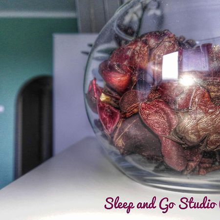 Sleep And Go Pedja Διαμέρισμα Βελιγράδι Εξωτερικό φωτογραφία