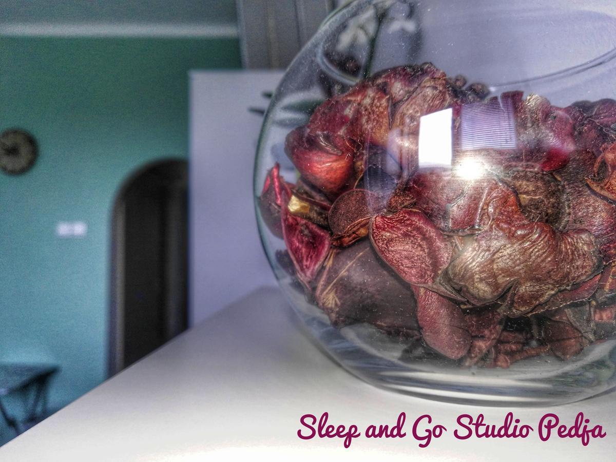 Sleep And Go Pedja Διαμέρισμα Βελιγράδι Εξωτερικό φωτογραφία